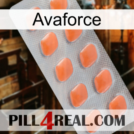 Avaforce 26